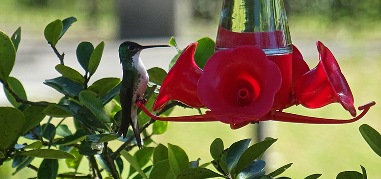 Recinto del Pensamiento, Manizales, Colombia